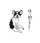 可愛い犬のLINEスタンプ（個別スタンプ：15）