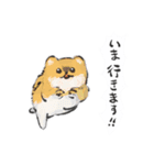 可愛い犬のLINEスタンプ（個別スタンプ：17）