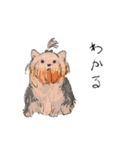 可愛い犬のLINEスタンプ（個別スタンプ：19）