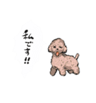 可愛い犬のLINEスタンプ（個別スタンプ：25）