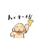 可愛い犬のLINEスタンプ（個別スタンプ：30）