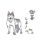 可愛い犬のLINEスタンプ（個別スタンプ：39）