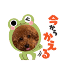 トイプードル福の日常（個別スタンプ：16）