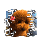 トイプードル福の日常（個別スタンプ：23）