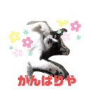 にゃんこ流（個別スタンプ：4）
