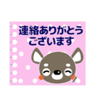 大人の優しい気遣い チワワ/犬好きさんに（個別スタンプ：17）