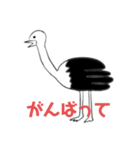 shuji2022ダチョウ（個別スタンプ：4）