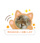 うさ飼いさん用スタンプ（個別スタンプ：6）