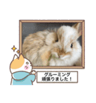 うさ飼いさん用スタンプ（個別スタンプ：8）