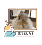 うさ飼いさん用スタンプ（個別スタンプ：11）