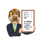 うさ飼いさん用スタンプ（個別スタンプ：17）