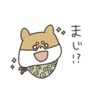 柴犬なちの365日（個別スタンプ：11）