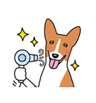 犬種別バセンジー(英語Ver)（個別スタンプ：26）