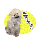 .☆久保ふぁみ☆.（個別スタンプ：5）