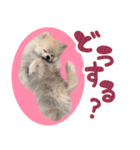 .☆久保ふぁみ☆.（個別スタンプ：6）