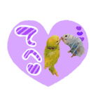 .☆久保ふぁみ☆.（個別スタンプ：7）