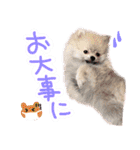 .☆久保ふぁみ☆.（個別スタンプ：11）