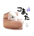 .☆久保ふぁみ☆.（個別スタンプ：13）