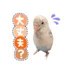 .☆久保ふぁみ☆.（個別スタンプ：14）