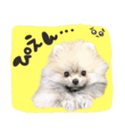 .☆久保ふぁみ☆.（個別スタンプ：15）
