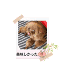 アロハとなっちゃんtwo（個別スタンプ：2）