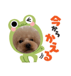 アロハとなっちゃんtwo（個別スタンプ：12）