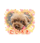 アロハとなっちゃんtwo（個別スタンプ：13）