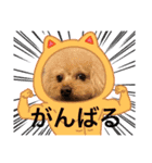アロハとなっちゃんtwo（個別スタンプ：14）