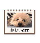 アロハとなっちゃんtwo（個別スタンプ：16）