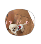 アロとなっちゃん4（個別スタンプ：5）
