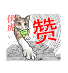 猫ねこ八極拳（中国語簡体字版）（個別スタンプ：3）