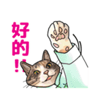 猫ねこ八極拳（中国語簡体字版）（個別スタンプ：4）