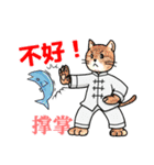 猫ねこ八極拳（中国語簡体字版）（個別スタンプ：5）