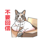 猫ねこ八極拳（中国語簡体字版）（個別スタンプ：15）