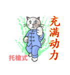 猫ねこ八極拳（中国語簡体字版）（個別スタンプ：16）