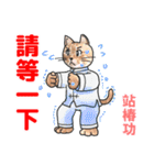 猫ねこ八極拳（中国語簡体字版）（個別スタンプ：17）