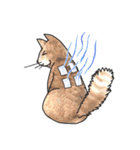 猫ねこ八極拳（中国語簡体字版）（個別スタンプ：24）