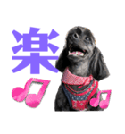 トイプードルとシーズーのMIX犬エマです‼︎（個別スタンプ：20）
