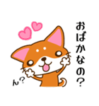 柴犬そらこ【毒舌】（個別スタンプ：13）