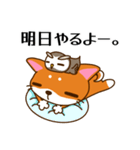 柴犬そらこ【毒舌】（個別スタンプ：19）