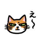 端的に言う猫（個別スタンプ：13）