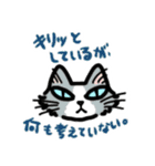 端的に言う猫（個別スタンプ：16）