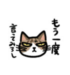 端的に言う猫（個別スタンプ：21）