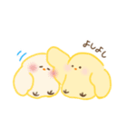 ぴよこのふぃーりんぐ2（個別スタンプ：13）