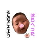 橋本家のこうせいくん2（個別スタンプ：6）