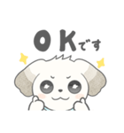 マルチーズのラテです。（個別スタンプ：2）