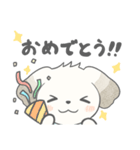 マルチーズのラテです。（個別スタンプ：4）