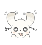 マルチーズのラテです。（個別スタンプ：5）