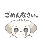 マルチーズのラテです。（個別スタンプ：8）