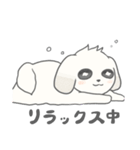 マルチーズのラテです。（個別スタンプ：11）
